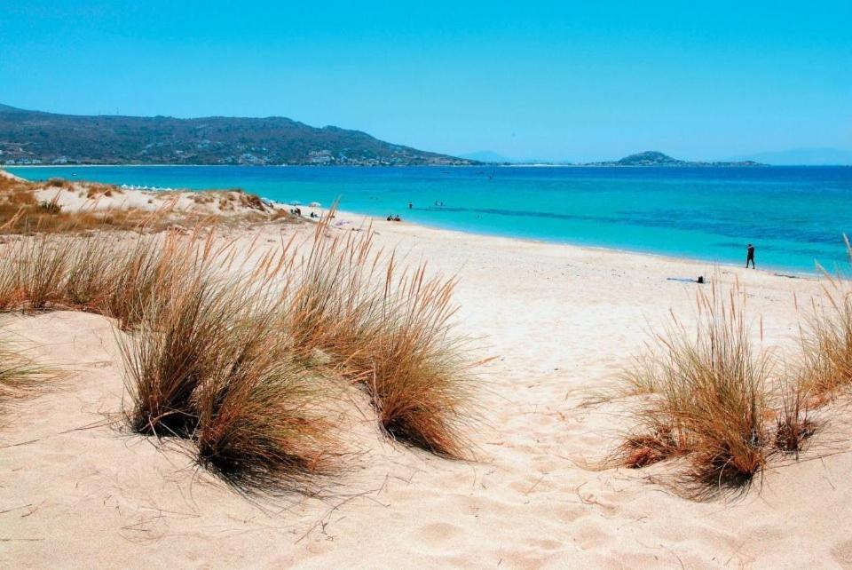Gatis Place Naxos City Dış mekan fotoğraf